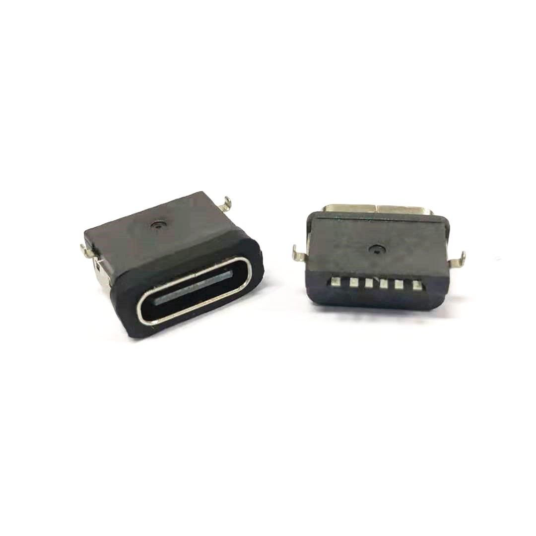 TYPE-Cĸ6Pˮ0.55_